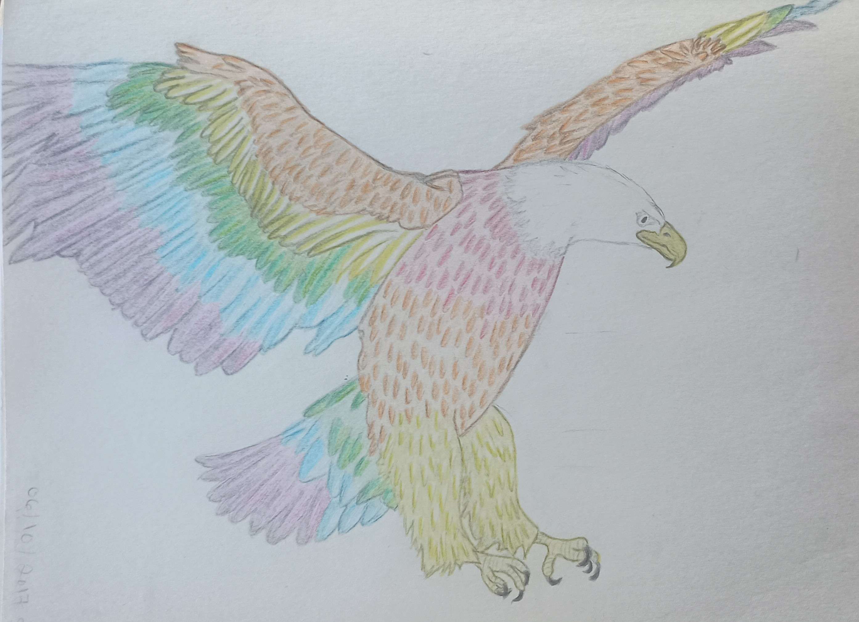 Eagle in Rainbow-Colored pencil